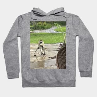 monkey eating rice cake - Kenya Hoodie